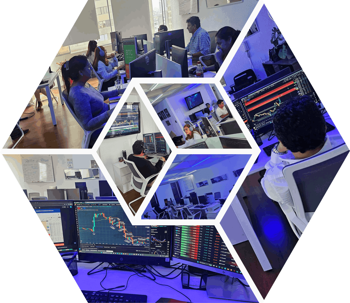 Traders de Green Market Capital